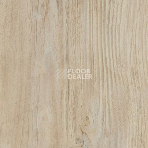 Кварцвиниловые полы Forbo Allura Click Pro 60084CL5 bleached rustic pine фото 1 | FLOORDEALER